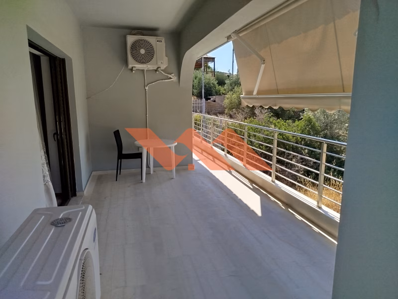 Property view 19