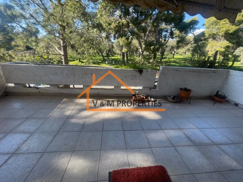 Property view 24