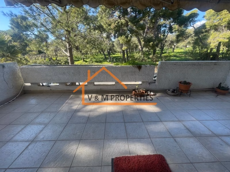 Property view 6