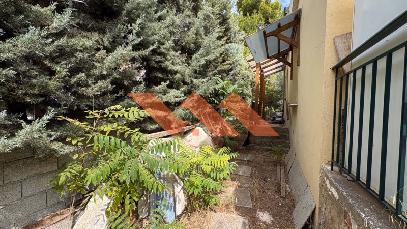Property view 12