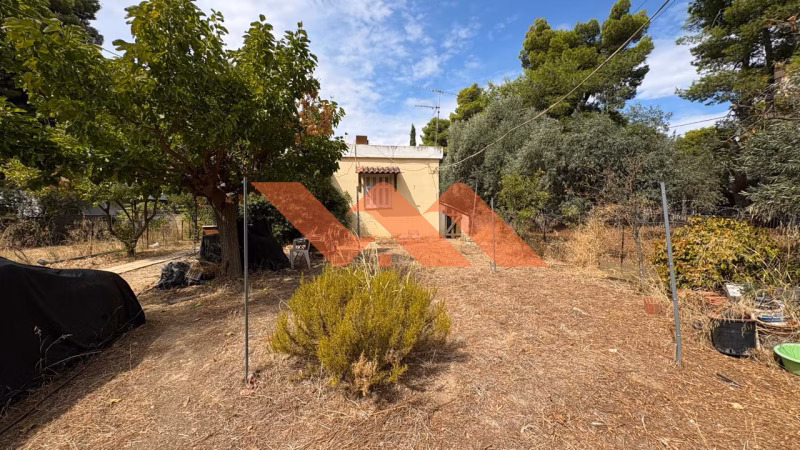 Property view 6
