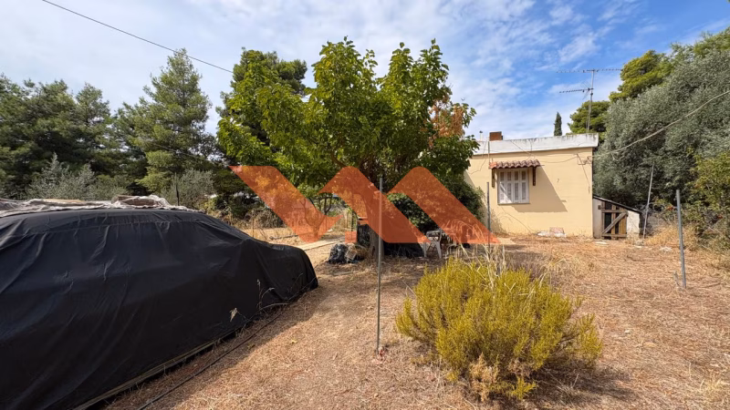 Property view 4